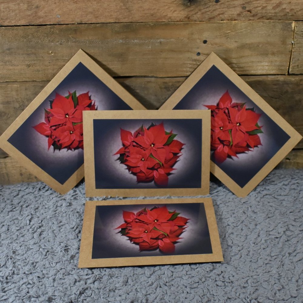 Set of 4 Original Photography Christmas/Holiday Cards
